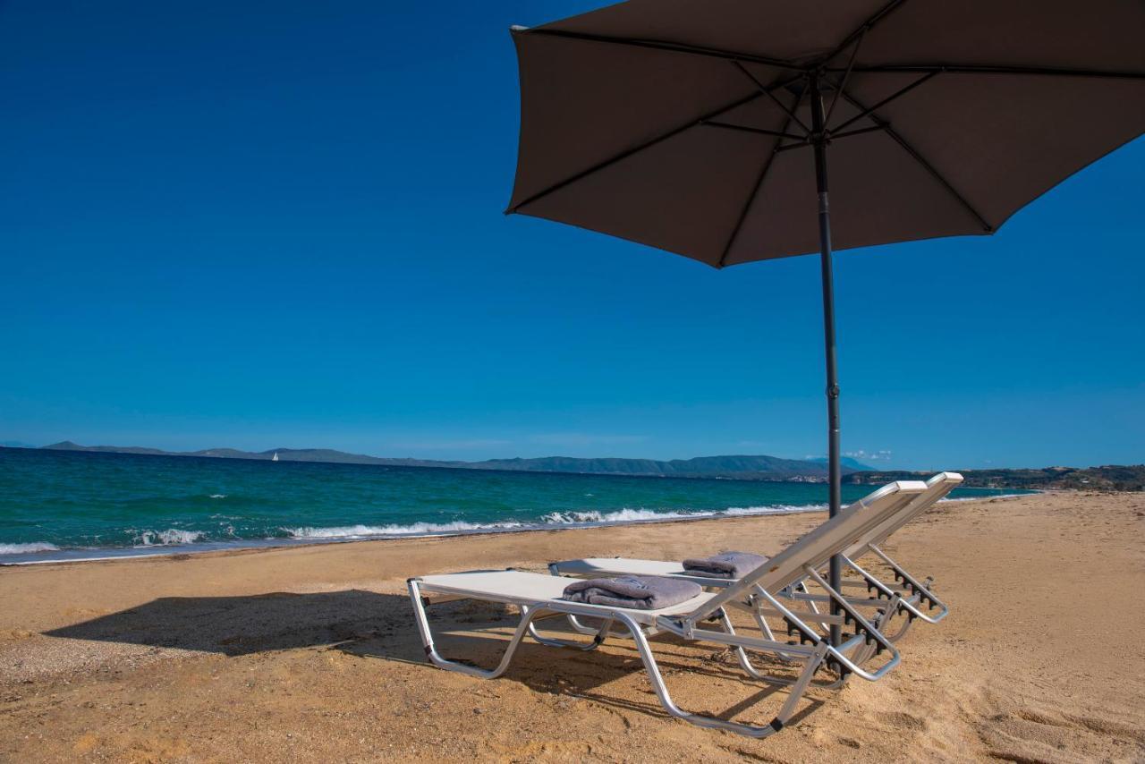 Terra D'Oro Villas Ierissos Bagian luar foto
